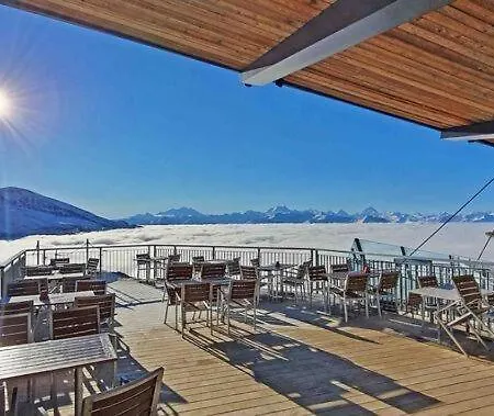 아파트 Octogon - Free Parking - Wii - Sportarena