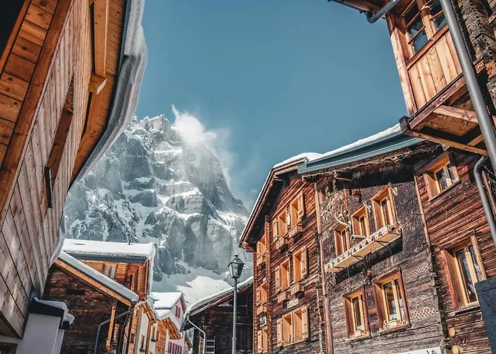 Octogon - Free Parking - Wii - Sportarena Lägenhet Leukerbad